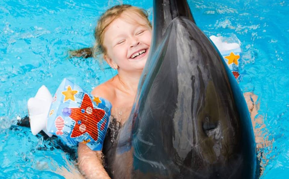 Premium 5 Minutes Dolphin Swimming Experience – Hurghada