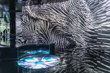 Book a Trip to a Beautiful Universe – Aya with Surprise Tourism