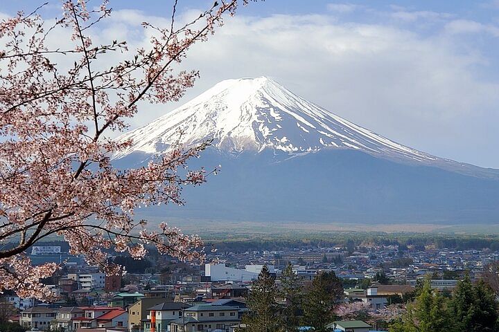 2 Days Private Tour: Tokyo / Mt Fuji and Hakone