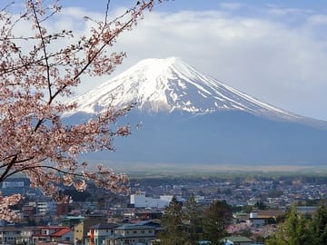 English Guided 2 Days Tokyo ,Mt Fuji and Hakone Private Tour
