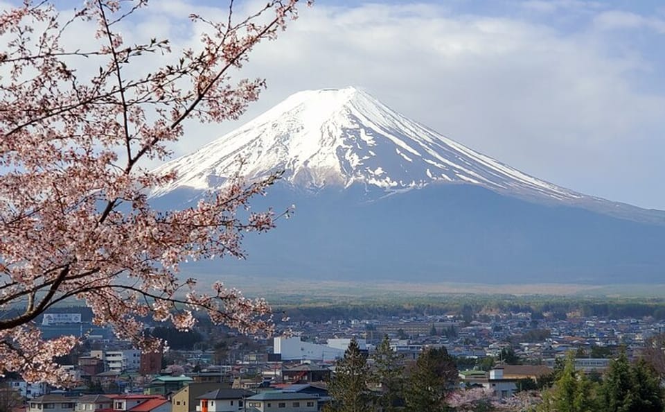 English Guided 2 Days Tokyo ,Mt Fuji and Hakone Private Tour