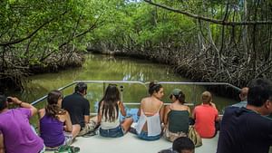 Ultimate Los Haitises Eco Tourism Adventure with Yanigua SPA