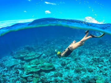 Amazing Cham Island Snorkeling Trip from Da Nang with Fresh Seafood