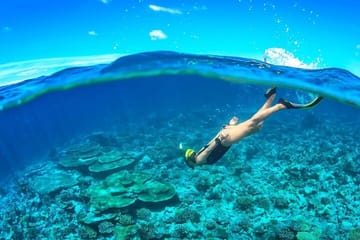 Cham Island Snorkeling Trip from Da Nang with Lunch