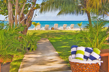Customized Horseback Riding and River Rapids in Braco, Jamaica