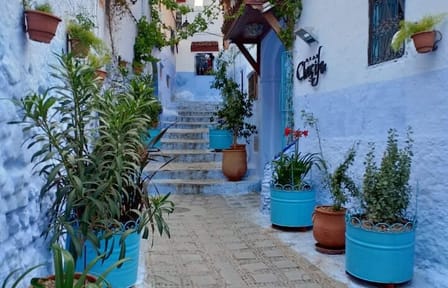 Chefchaouen Bleu City 2 Days Trip from Casablanca