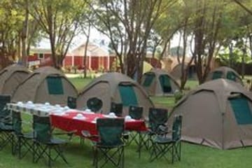 4Days Tanzania Northern Circuit Camping Safari