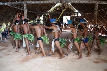 Indian Village and Meeting of the Waters Tour in Manaus