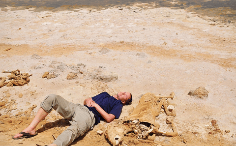 Private 4-Day Safari Tour in Siwa Oasis, Egypt