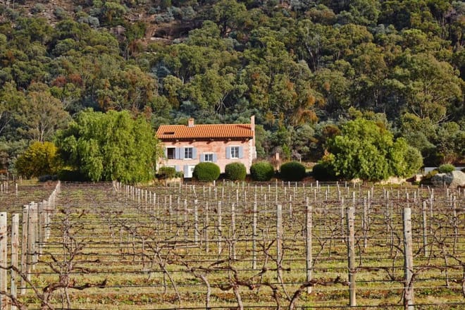 Private Hunter Valley Wine Tour from Palm Beach & Central Coast | Full Day Tour with 3 Tastings & Lunch - Photo 3