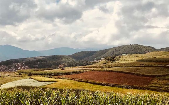 Private Day Tour to Red Land in Dongchuan from Kunming