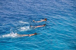  Ras Mohamed Boat Trip & White Island
