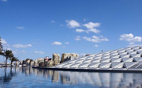 Private Guided Day Tour of Alexandria's Historic Highlights