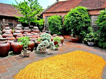 Duong Lam Ancient Village Day Trip from Hanoi