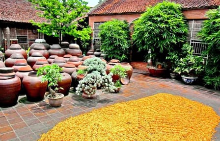 Duong Lam Ancient Village Day Tour