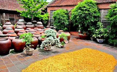 Duong Lam Ancient Village Day Trip from Hanoi