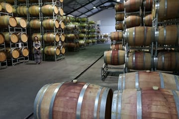 Private Full Day Tour of Stellenbosch Wine Region from Cape Town