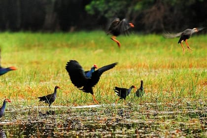 Small-Group Hoa Lu – Tam Coc Day Tour from Hanoi