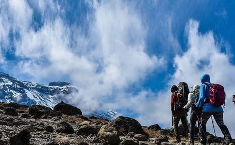 Full-Day Guided Hike in Mount Kenya National Park