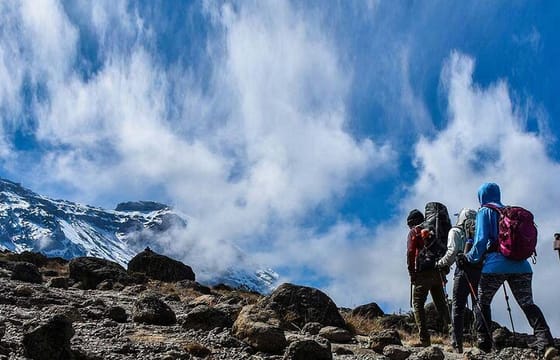 Mount Kenya National Park Full-Day Hike