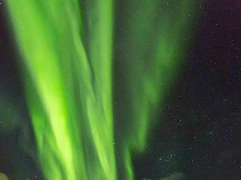 Iceland Reykjavik Northern Lights Bus Tour guided in Chinese冰岛雷市中文极光团, photo 5