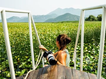 Lake Skadar’s water lily fields stretch endlessly, creating a serene and magical atmosphere.