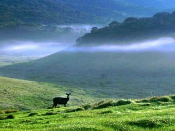 Horton Plains and Nuwara Eliya Nature Walking Tour in Kandy