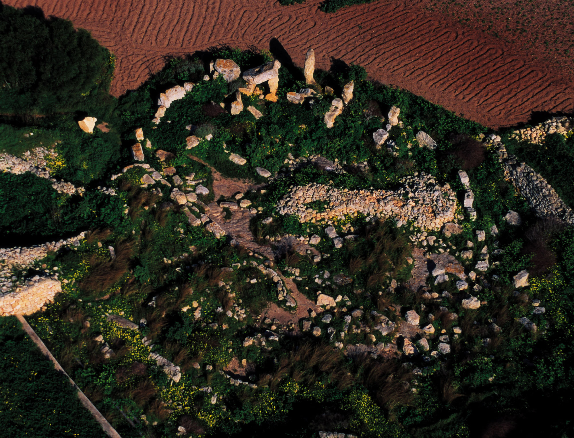 Aerial view of Tarxiern Temples