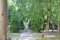 Secret Gardens of Venice Walking Tour 4