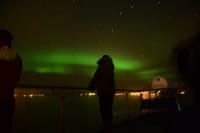 Green Northern Lights reflecting over the ocean during a night cruise