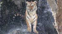 Emirates Park Zoo Abu Dhabi Tickets 3