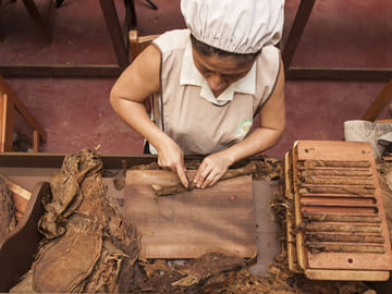 City and Wildlife Tour of Tarapoto with Chocolate Tasting