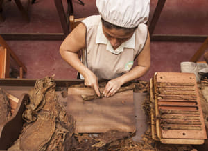 Tar-01 : Tarapoto's Hidden Treasures - City, Chocolate, and Animal Tours