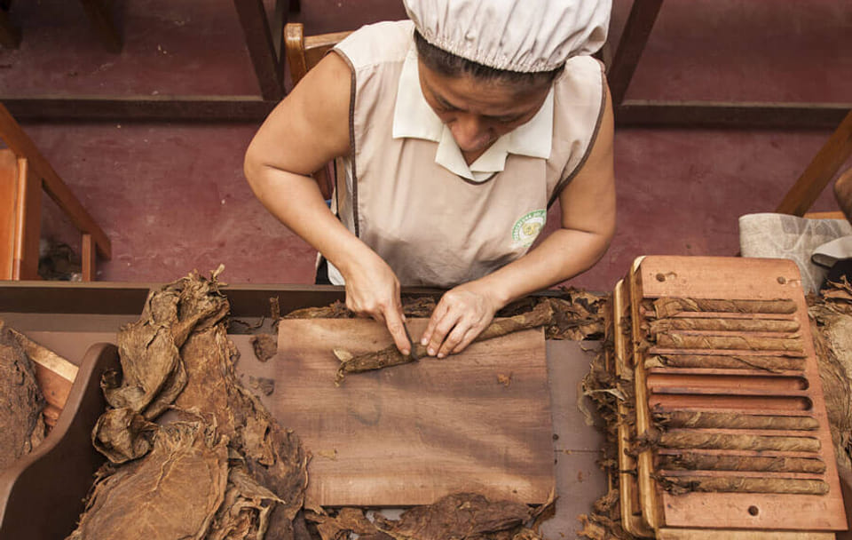 City and Wildlife Tour of Tarapoto with Chocolate Tasting