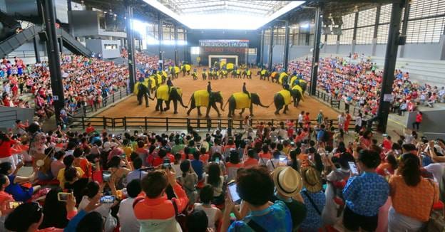 PATTAYA Join Tour Nong Nooch Garden-Thai Culture-Elephant Show 2