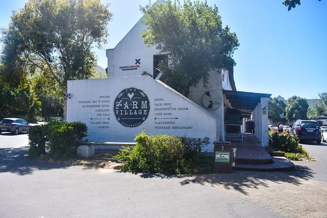 Private Tour: Cape of good hope and Boulders beach full Day tour 10