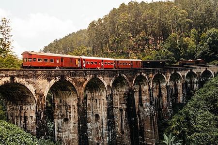 Ella Day Tour: Scenic Train Ride & Iconic Attractions