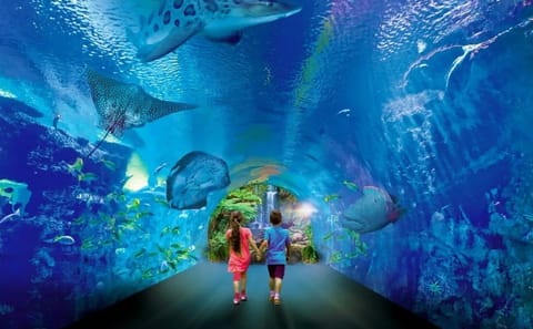 Hurghada Grand Aquarium Admission and Guided Tour