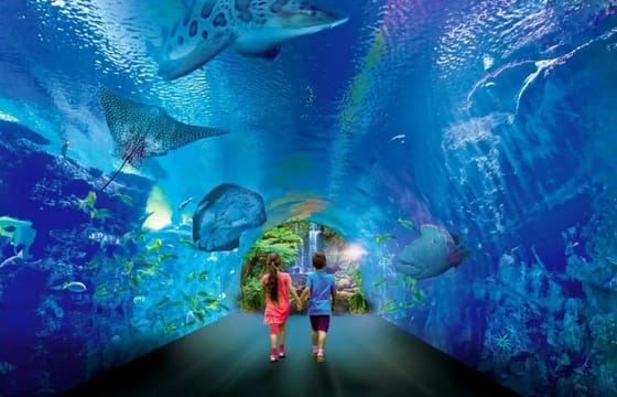 Get the Best Hurghada Grand Aquarium Tickets
