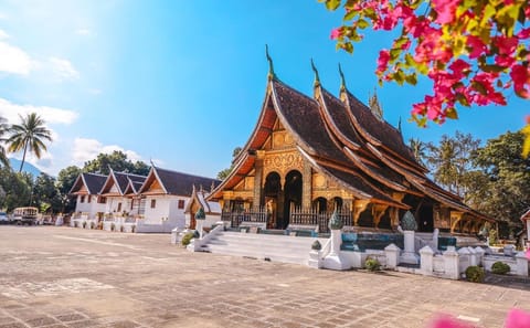 Cultural and Scenic Tour of Laos: 10 Days in Luang Prabang