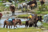 Salkantay Trek Luxury Tour 5-days 5