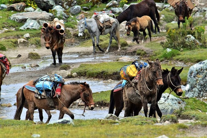 Salkantay Trek Luxury Tour 5-days photo 5