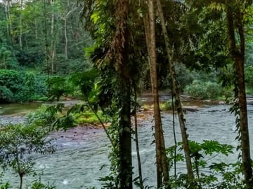 Adventure and Nature Tour in Kandy and Kitulgala, Sri Lanka