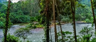 Short Vacation - Kandy/Kitulgala/Belihuloya 
