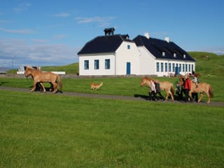 Viðey Ferry - from the Old Harbour, photo 6