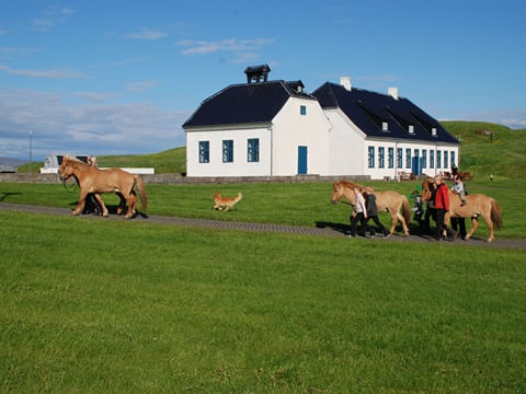 Viðey Ferry - from the Old Harbour, photo 6