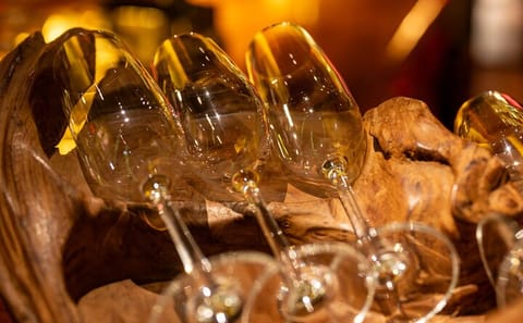 Gourmet Dining Experience by the River in Hoi An