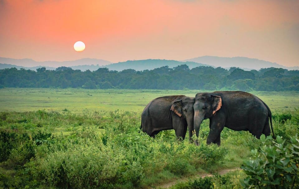 Amazing Sri Lanka – 6N/7D