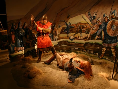 Saga Museum - Entrance ticket