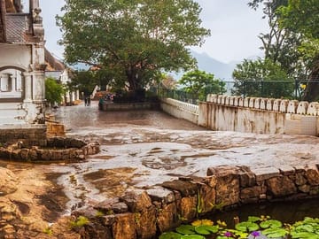10-Day Cultural and Beach Tour of Sri Lanka's Coastline